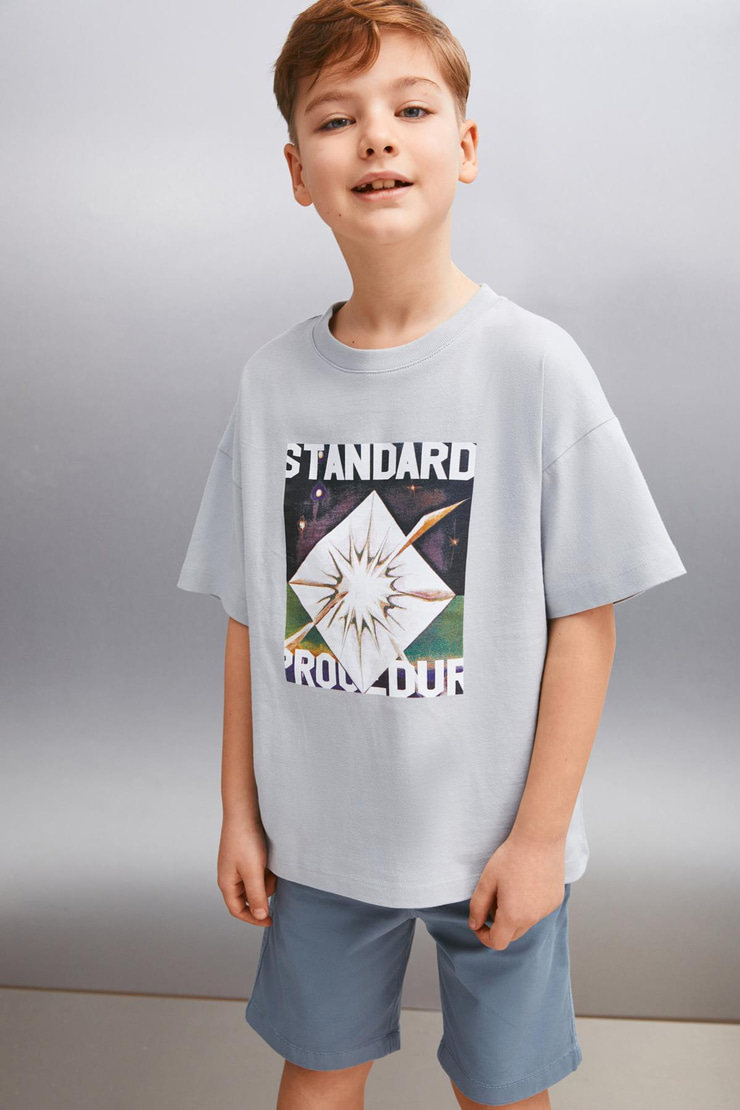 INNES  Regular Gri Tekli T-Shirt