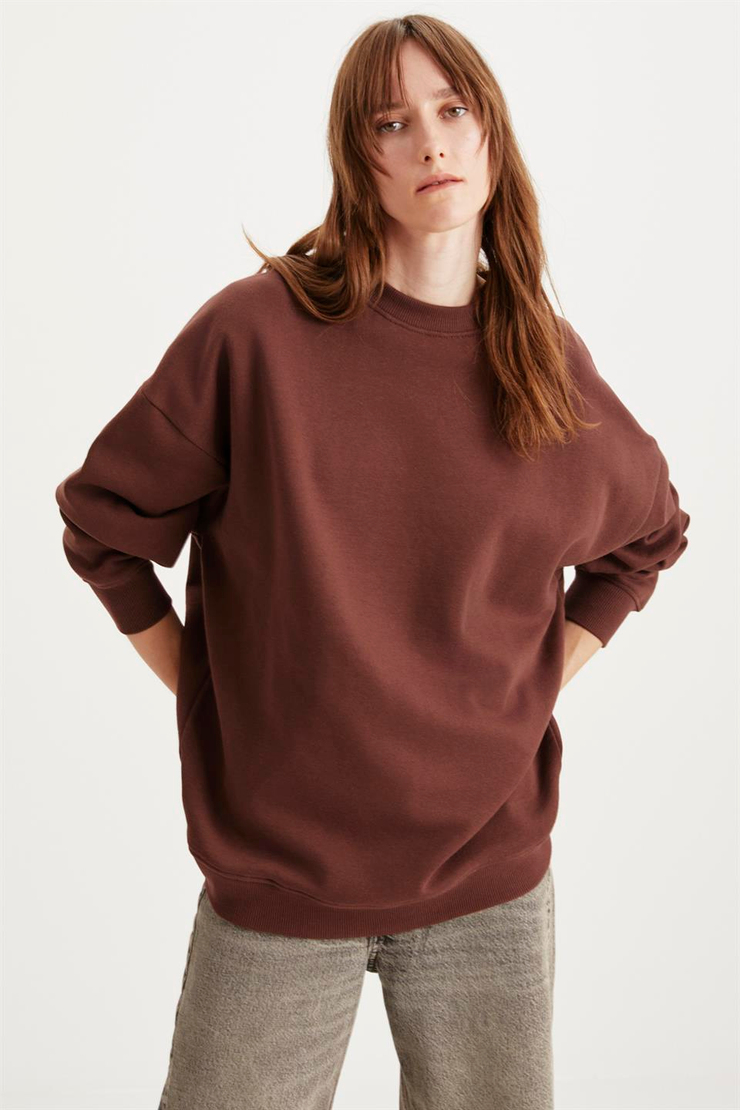 ALLYS  Oversize Kahverengi Tekli Sweatshirt