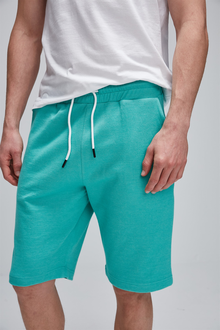 AUSTIN Erkek Yeşil Düz Renk  Regular Fit Şort&Bermuda