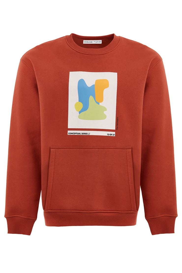 AWKS Erkek Kiremit Rengi Baskılı Yuvarlak Yaka Comfort Fit Sweatshirt