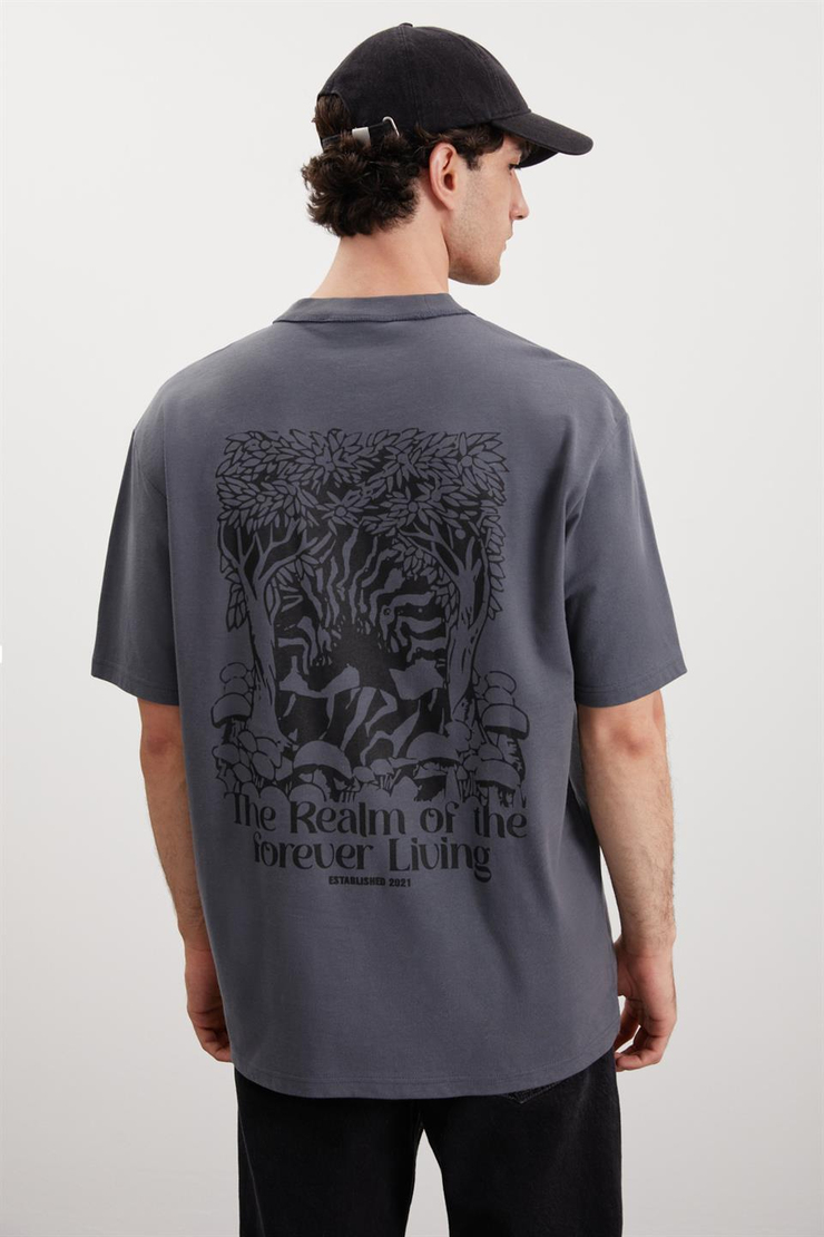 CLAXTON Örme Relaxed Gri  T-Shirt