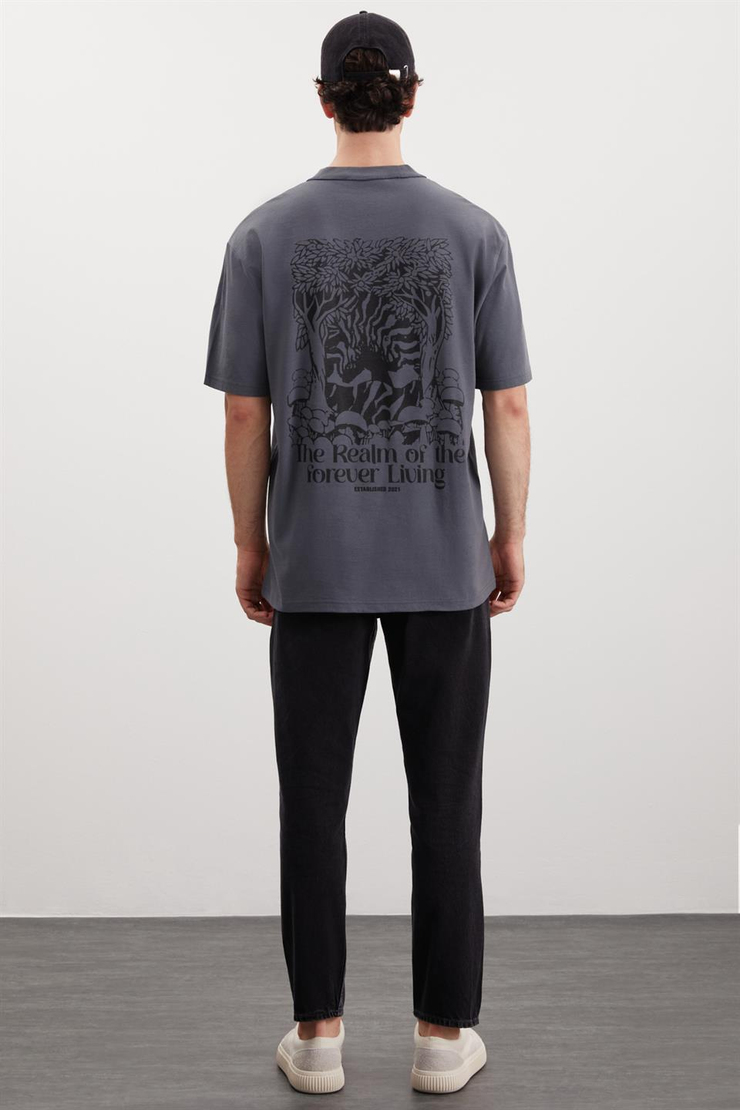 CLAXTON Örme Relaxed Gri  T-Shirt