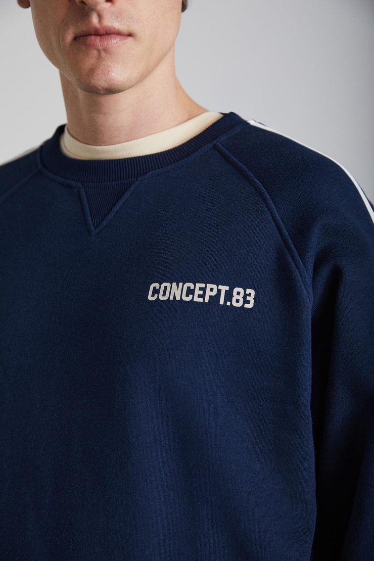 DARIUS Erkek 3 İplik İçi Şardonlu Lacivert Sweatshirt