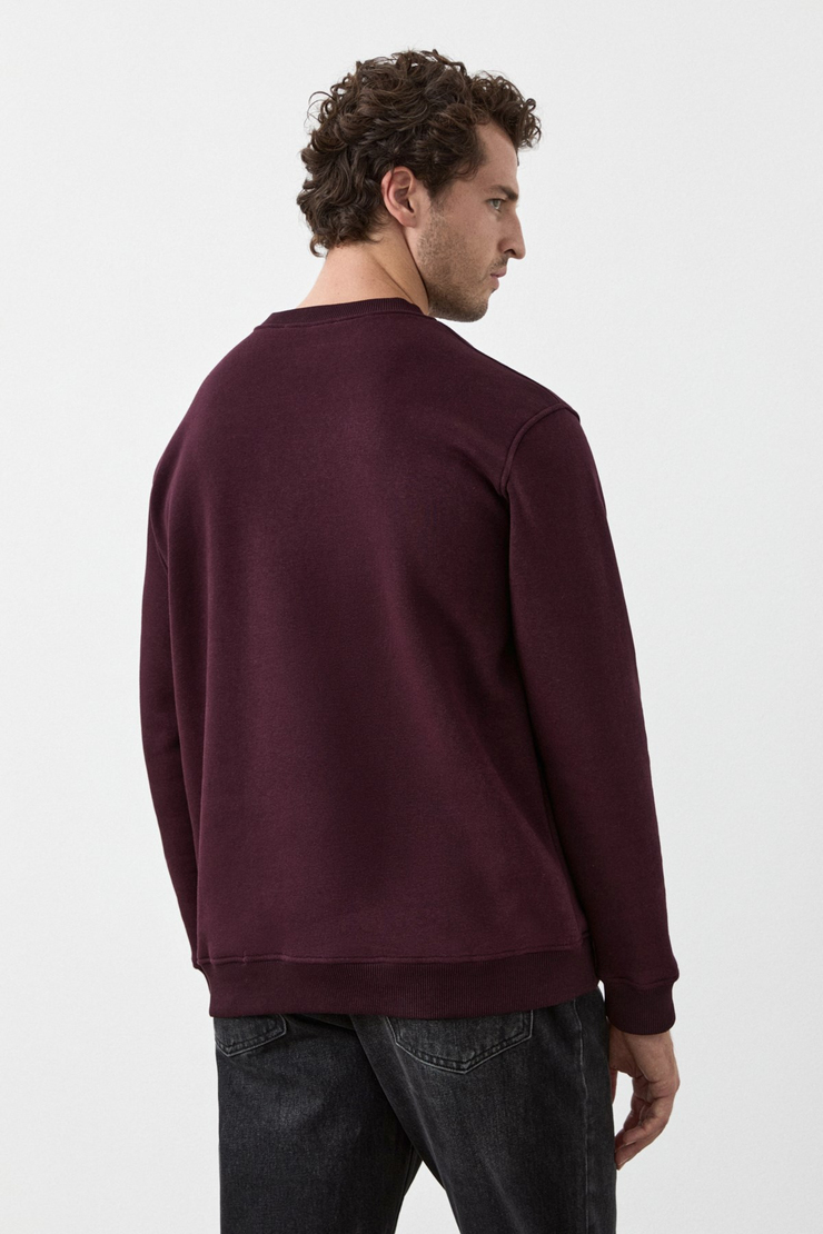 ELION Erkek V Yakalı Bordo Sweatshirt