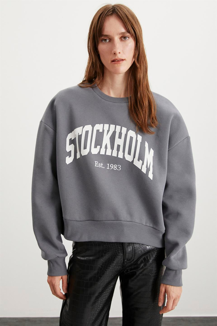 EUNICE  Oversize Gri Tekli Sweatshirt