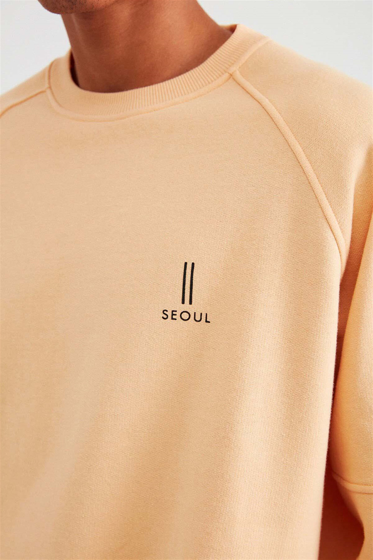 FAREAST Örme Comfort Fit Somon  Sweatshirt