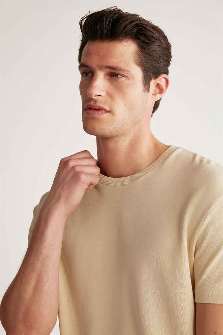 JEREMY Örme Regular Bej  T-Shirt