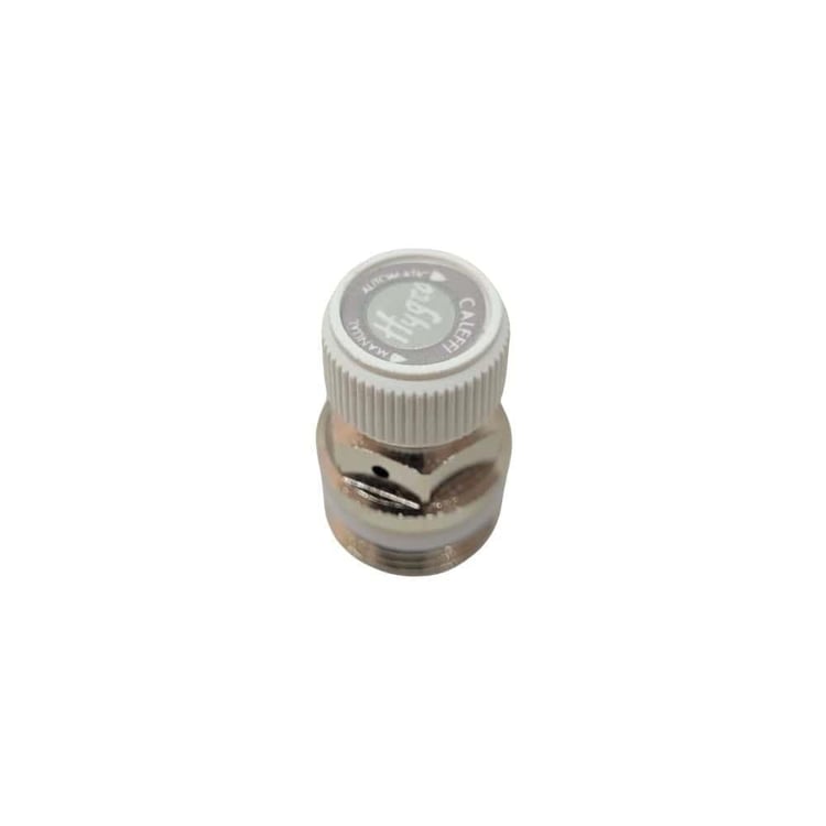 Caleffi Mini Otomatik Purjör 508041