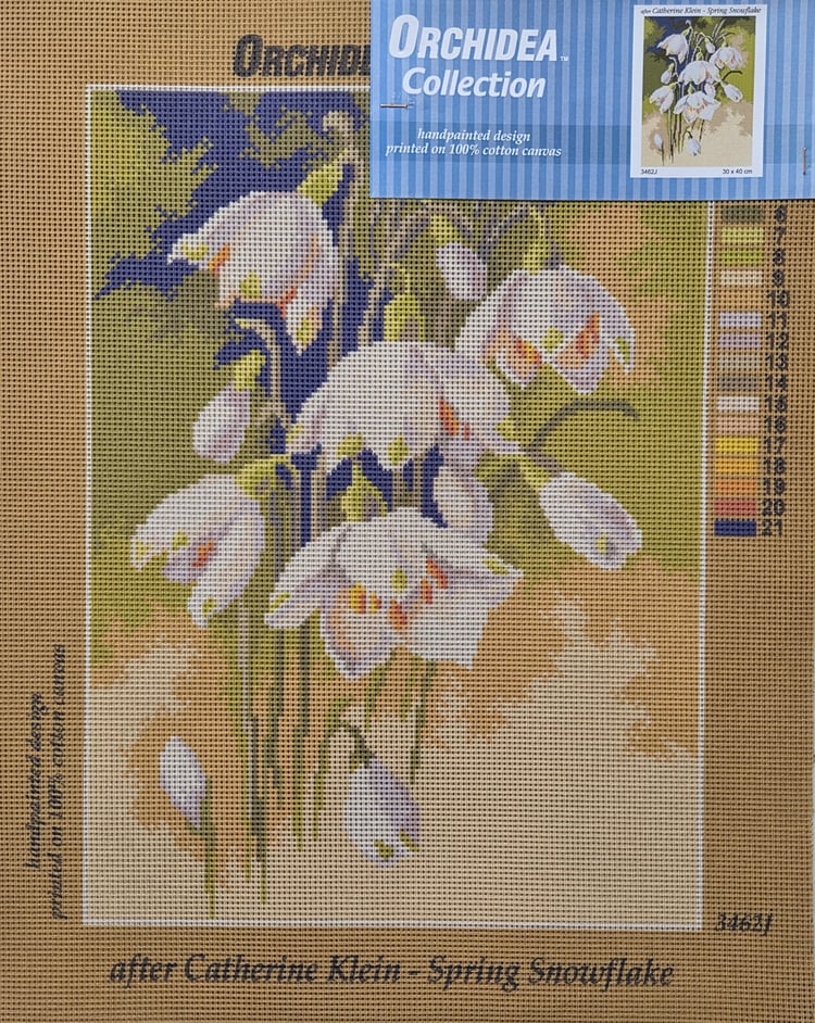 Orchidea Goblen 3462J 30x40
