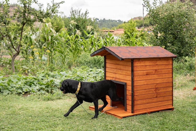 Alaçam Ahşap Köpek Kulübesi