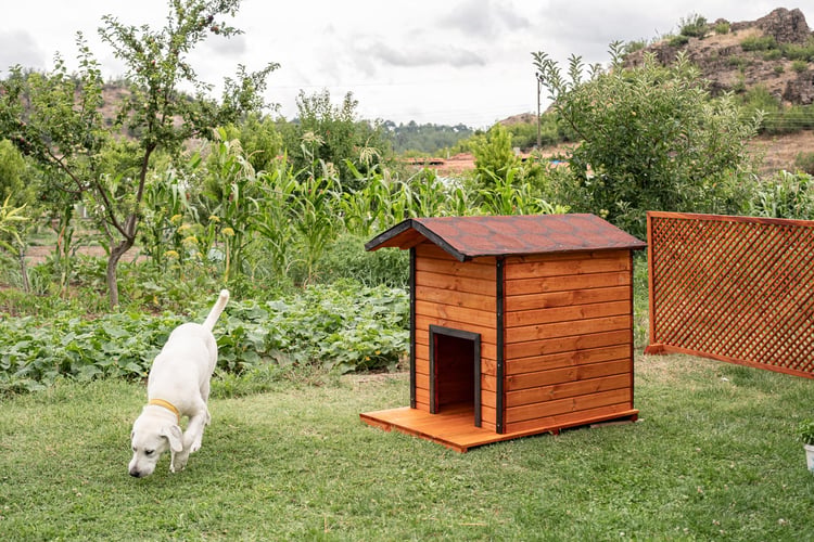 Alaçam Ahşap Köpek Kulübesi