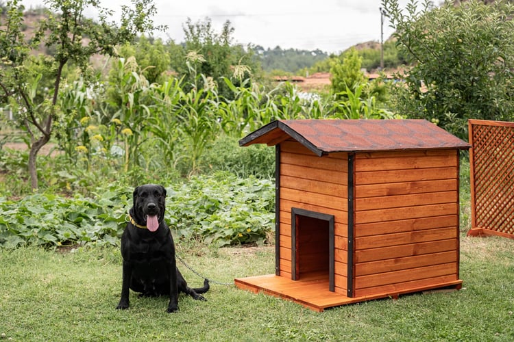 Alaçam Ahşap Köpek Kulübesi