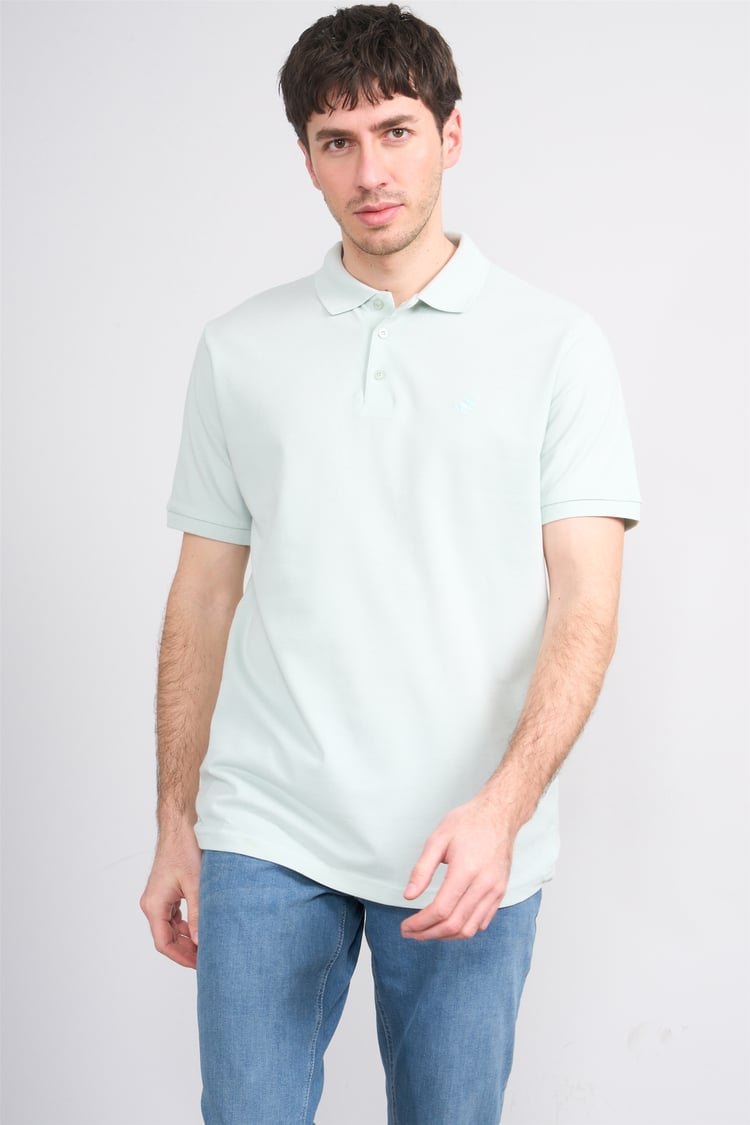 Çetinkaya Chester Polo 2742 Polo Yaka Regular Pike T-shirt Çağla