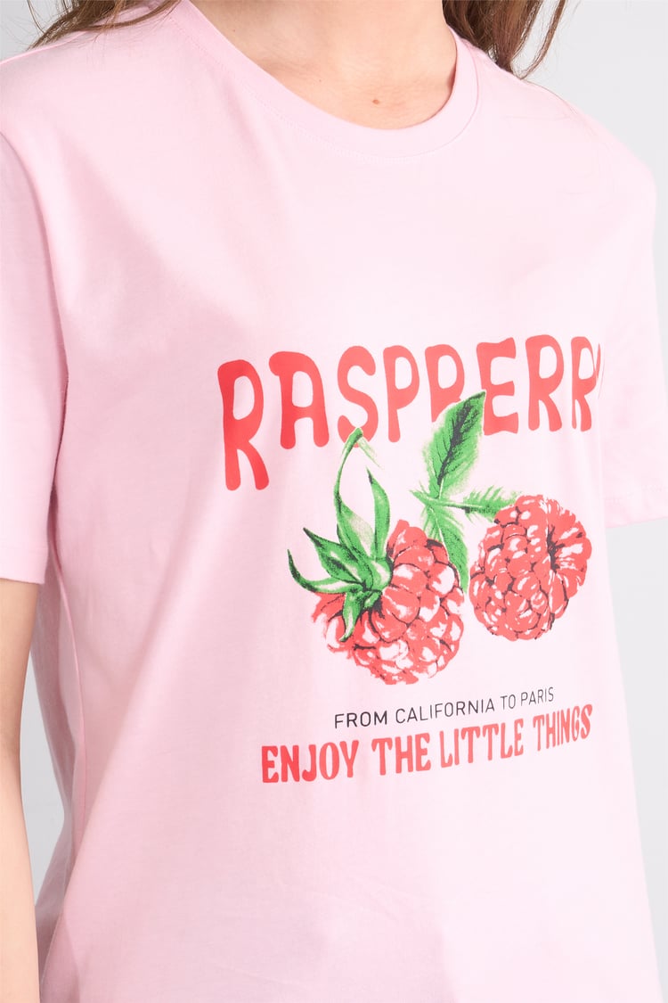 Çetinkaya Fithit 8896 Bayan Bisiklet Yaka Regular Baskılı T-shirt Açık Pembe