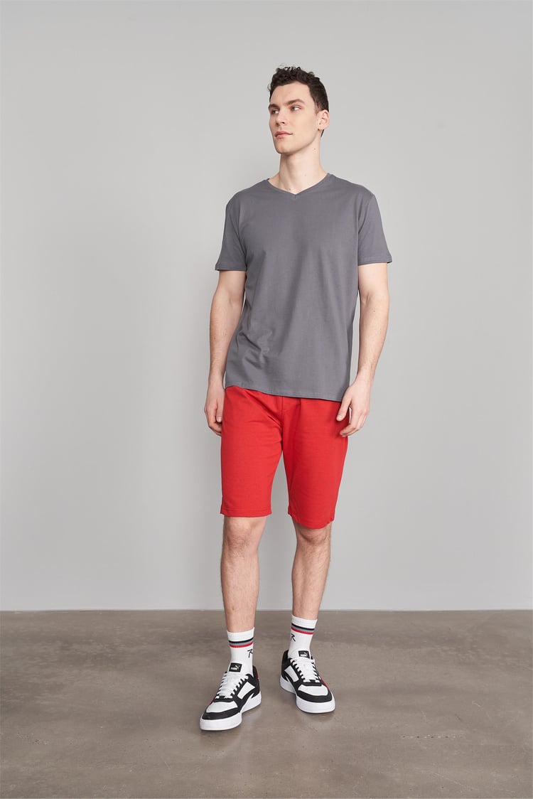 Çetinkaya Mentality 2772V V Yaka Basic Koyu Gri T-Shirt