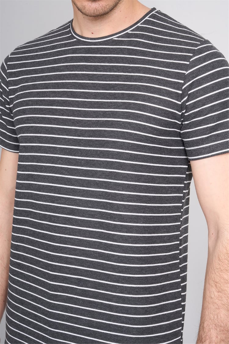 Çetinkaya Mentality 4540 Bisiklet Yaka Regular Çizgili T-shirt Antrasit