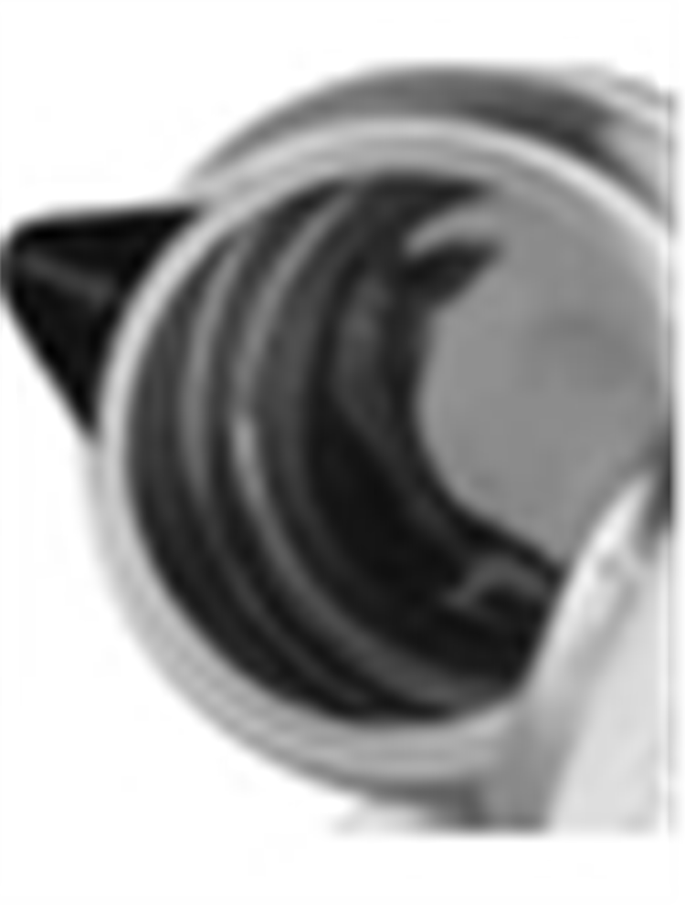 KIWI KETTLE CELIK KK 3334