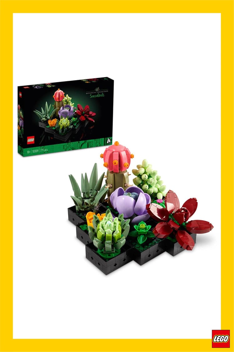 LEGO 10309 Creator Sukulentler