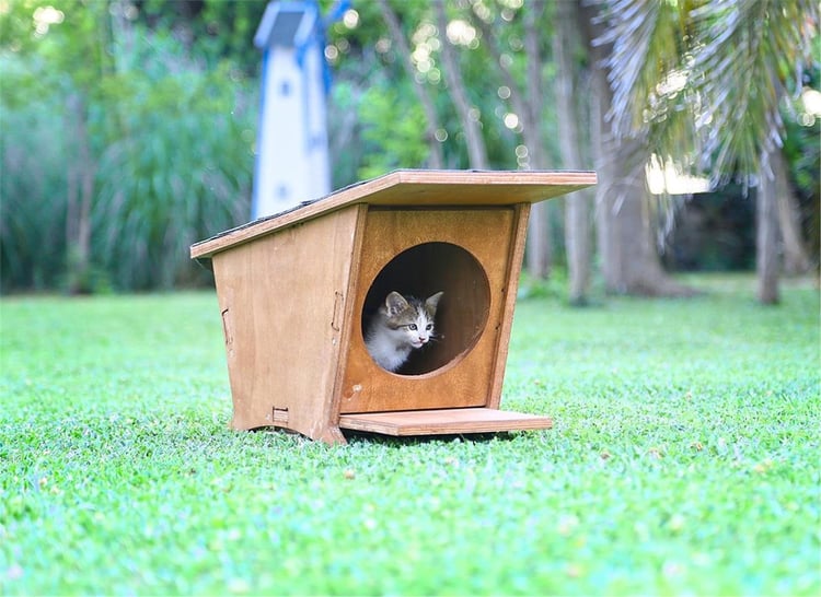 Mandu Ahşap Mini Kedi Evi (Yeni Doğan Evi)-Mnd215