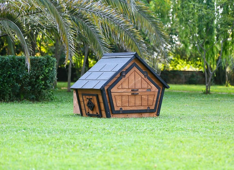 Mandu Ahşap Tavuk Kümesi (6 Tavuk) Ve Güvercin Evi-Mnd236