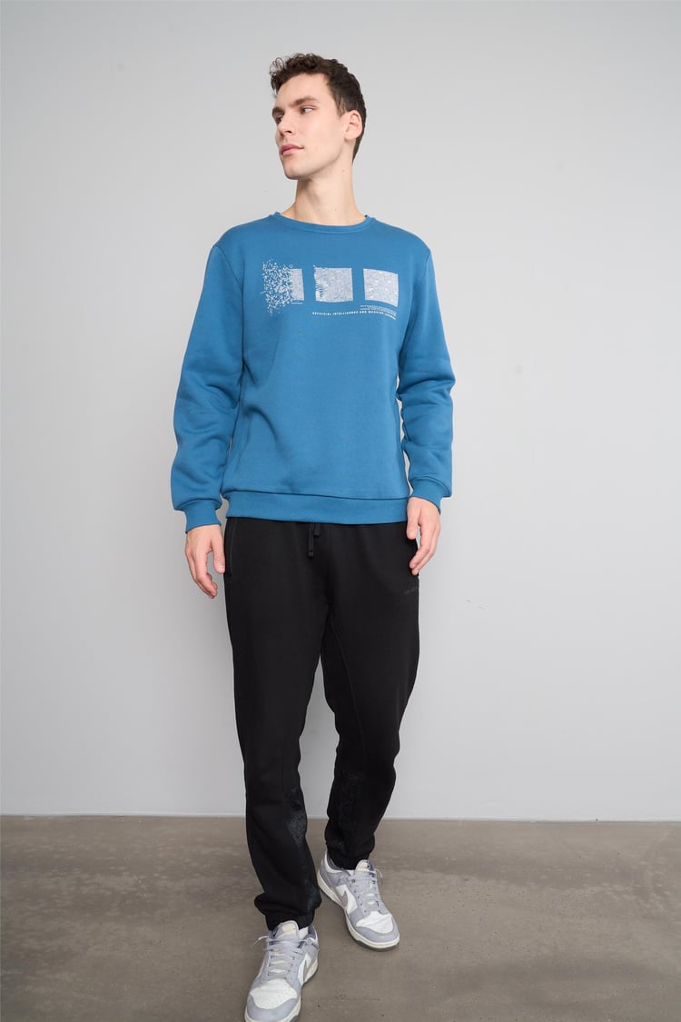 Mentality 3543 Bisiklet Yaka 3 İplik Şardonlu Baskılı Petrol Sweatshirt