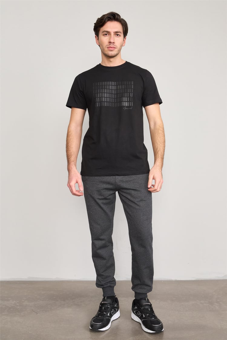 Mentality 4035 Erkek Bisiklet Yaka Baskılı Regular T-shirt Siyah