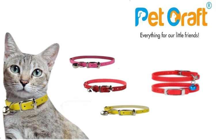 Petcraft Deri Kedi Tasma