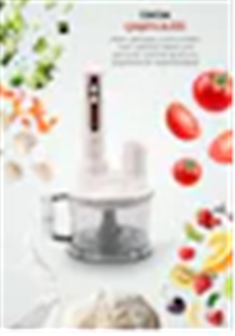 PIRANTECH BLENDER SET MULTI YH-1420 1700 W TURBO