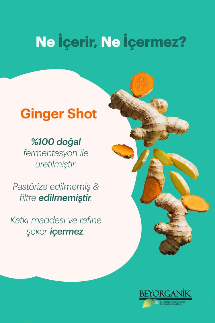Organik Ginger Shot 2'li (Tarçın & Karanfil ilaveli Tek içimlik Fermente içecek)