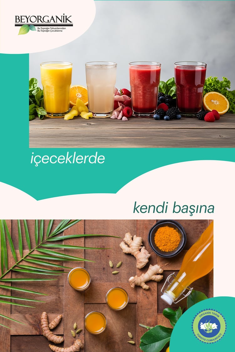 Organik Ginger Shot 2'li (Tarçın & Karanfil ilaveli Tek içimlik Fermente içecek)