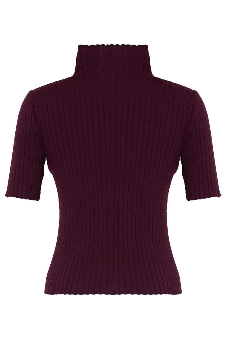 Bordo Balıkçı Yaka Kısa Kollu Triko Bluz Kadın Kategorisiz modelleri