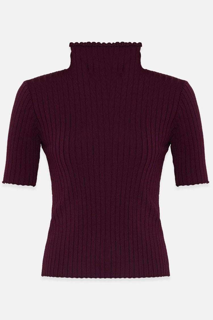 Bordo Balıkçı Yaka Kısa Kollu Triko Bluz Kadın Kategorisiz modelleri