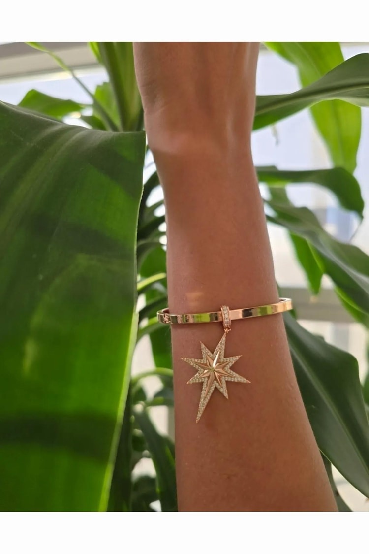 Ekru Taşlı Kutup Yıldızı Rose Gold Vıp Charm Kolye Bileklik Ucu Kadın Kategorisiz modelleri