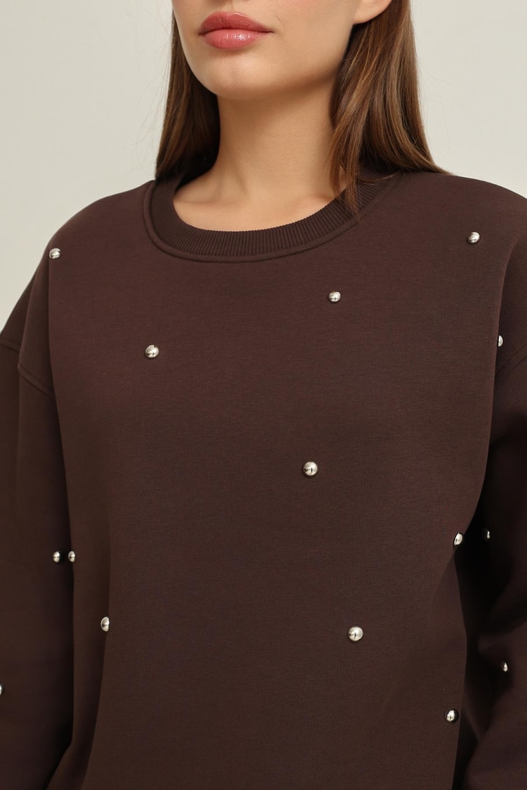Kahve Bisiklet Yaka Taş Detaylı Uzun Kollu Sweatshirt Kadın Kategorisiz modelleri