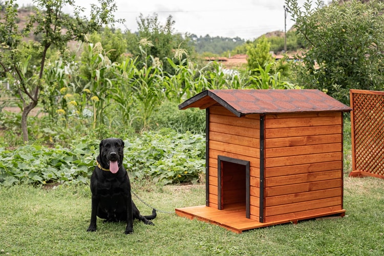Alaçam Ahşap Köpek Kulübesi