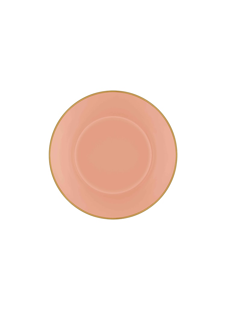 Basic Kase 6 Lı Set Somon Pembe - 15 cm
