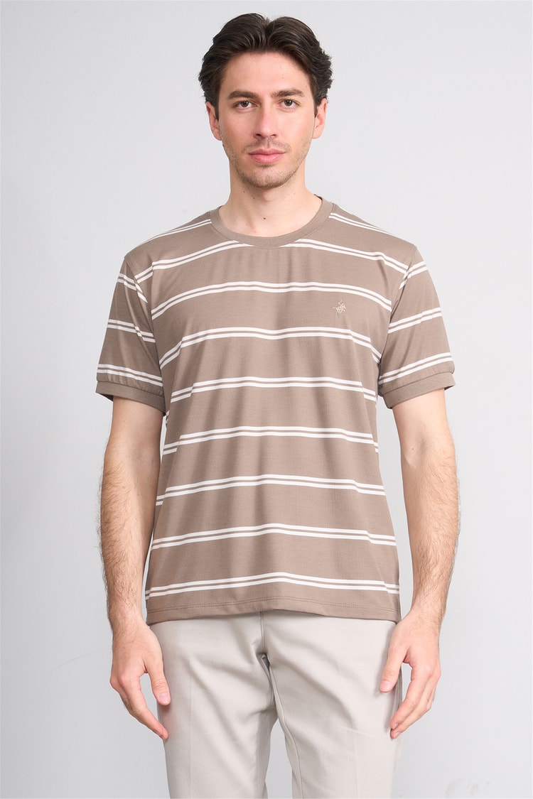 Çetinkaya Chester Polo 4720 Bisiklet Yaka Regular Ringel Süprem T-shirt Vizon