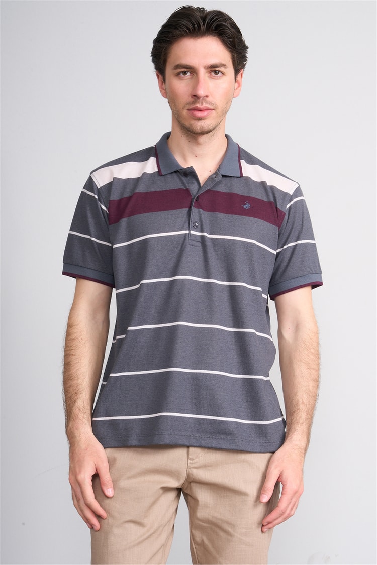 Çetinkaya Chester Polo 4739 Polo Yaka Regular Ringel Pike T-shirt Füme