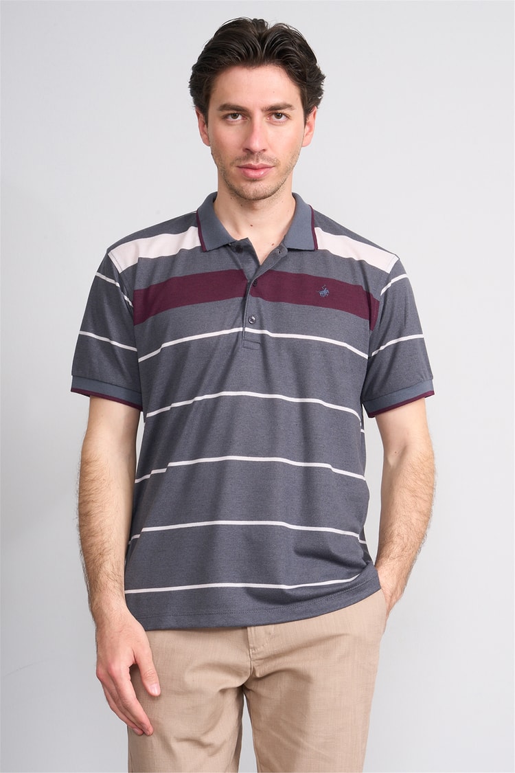 Çetinkaya Chester Polo 4739 Polo Yaka Regular Ringel Pike T-shirt Füme