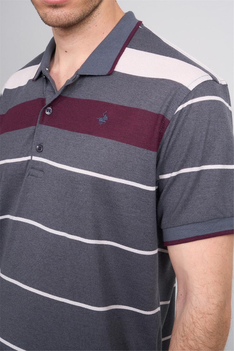 Çetinkaya Chester Polo 4739 Polo Yaka Regular Ringel Pike T-shirt Füme
