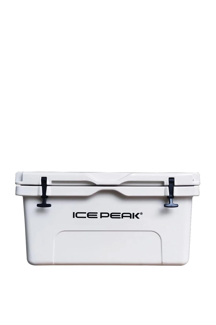 Icepeak Aden Plus Buzluk 65 Litre