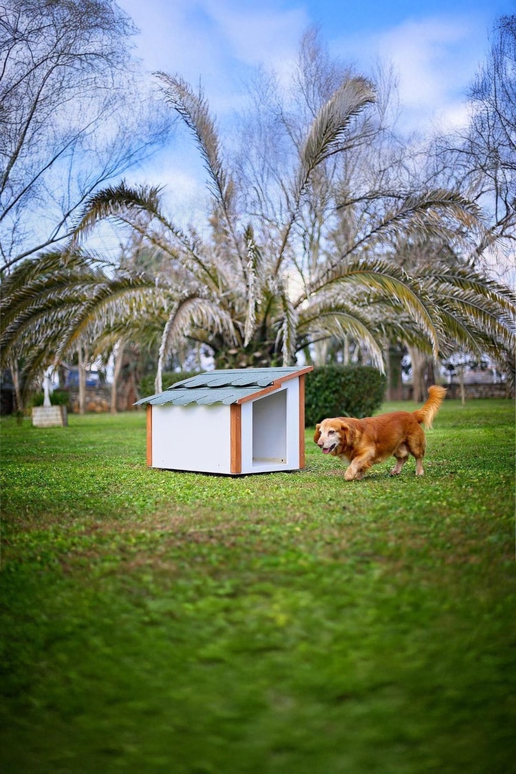 Mandu Standart Köpek Kulübesi-Mnd246