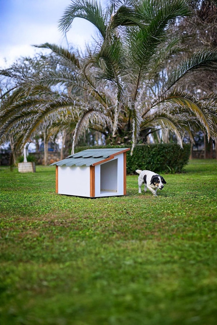 Mandu Standart Köpek Kulübesi-Mnd246