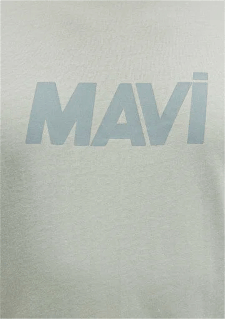 Mavı M0612896-83995 Aqua Grısı Erkek Regular Logo Baskılı T-Shırt