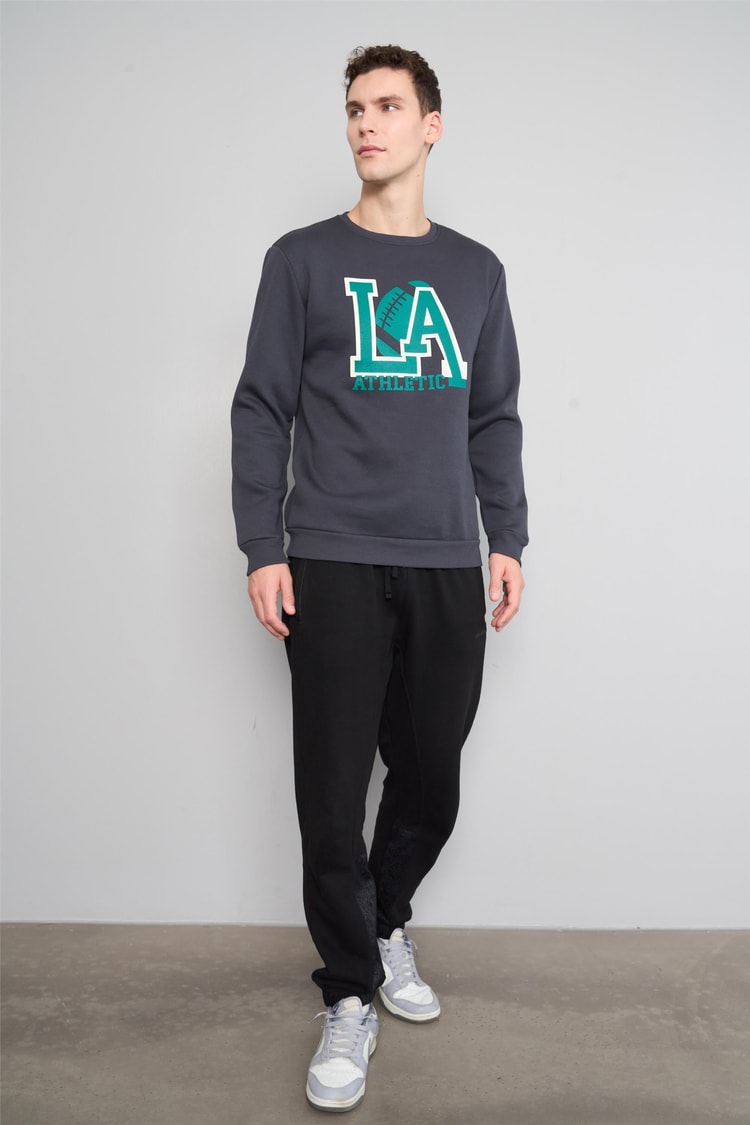 Mentality 3539 Bisiklet Yaka 3 İplik Şardonlu Baskılı Açık Lacivert Sweatshirt