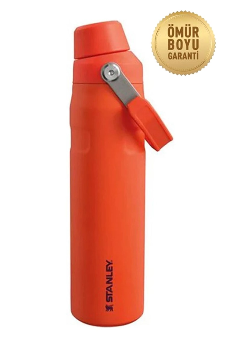 Stanley The Aerolight IceFlow Water Bottle Fast Flow 0.6L / 20oz Tigerlily