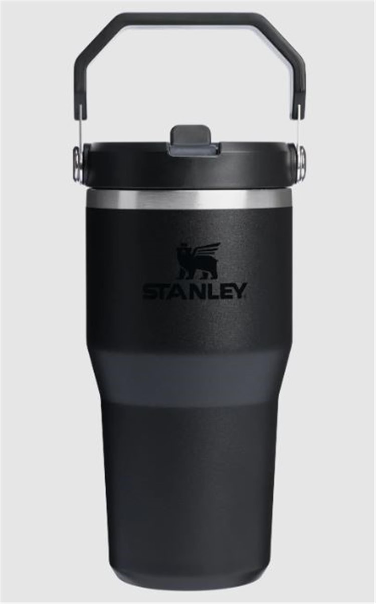 Stanley The IceFlow™ Flip Straw 2.0 Tumbler 0.6L / 20oz Ash (New)