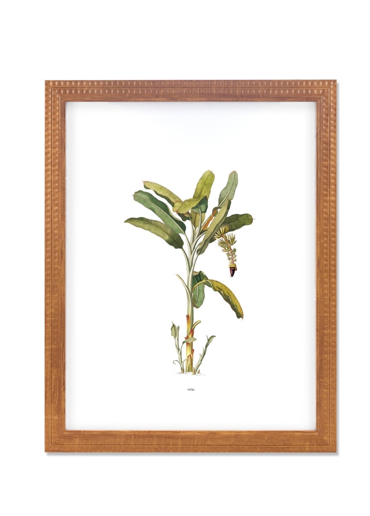 Vimini Fotoğraf Çerçevesi Kahverengi 40x50 cm