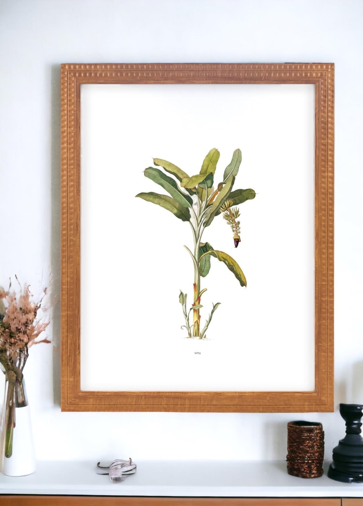 Vimini Fotoğraf Çerçevesi Kahverengi 40x50 cm