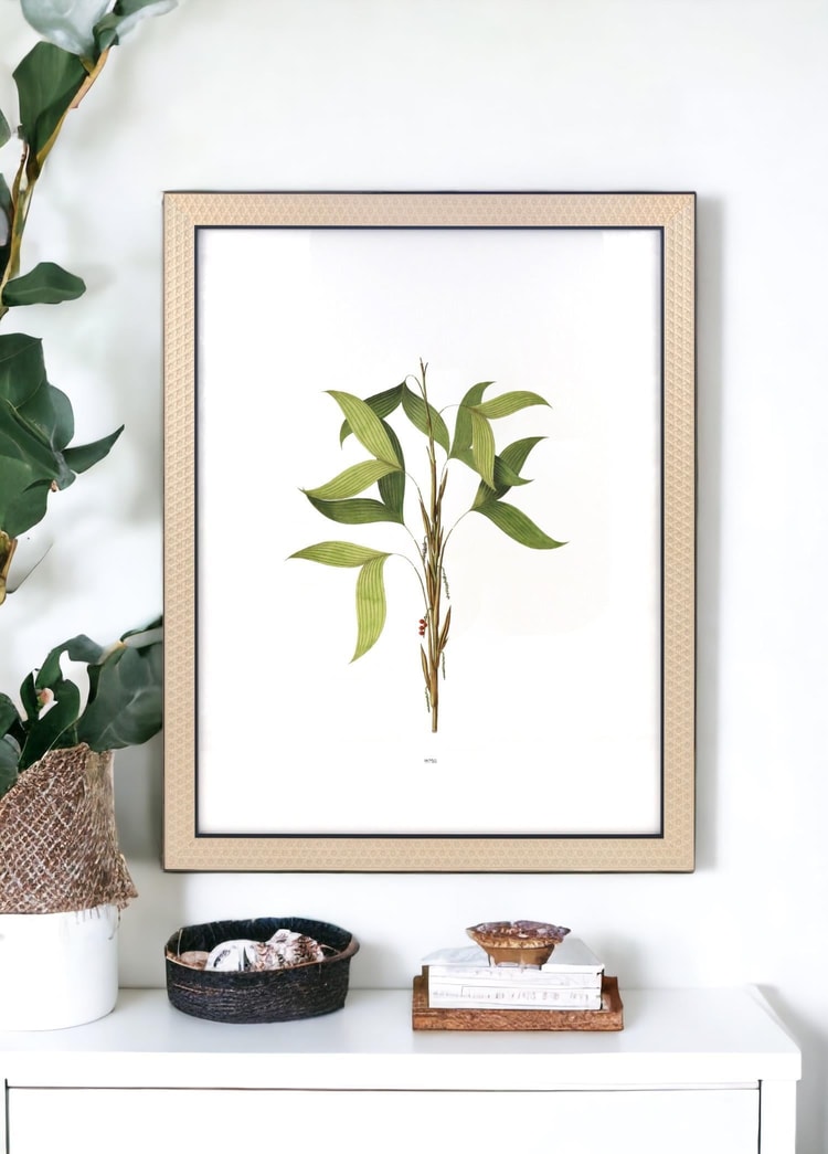 Vimini Fotoğraf Çerçevesi Siyah 40x50 cm